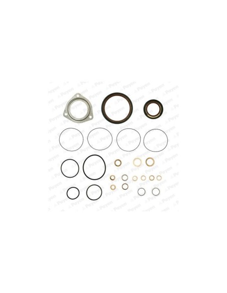 PAYEN KIT GUARNIZIONI, MONOBLOCCO EH951