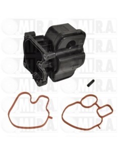 MI.R.A. RADIATORE, RICIRCOLO GAS SCARICO 24/1021