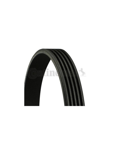 CONTINENTAL AG CINGHIA POLY-V 5PK1025