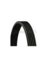 CONTINENTAL AG CINGHIA POLY-V 5PK1125