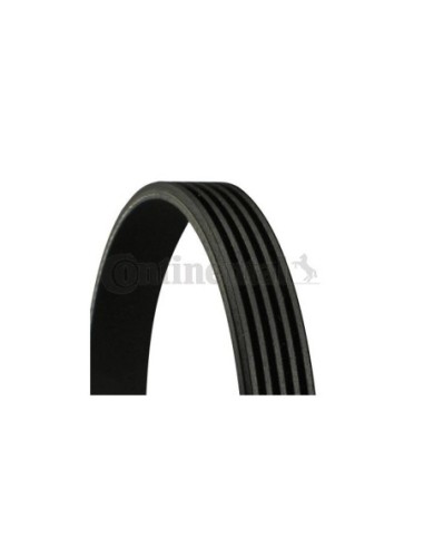 CONTINENTAL AG CINGHIA POLY-V 5PK1240