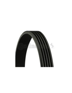 CONTINENTAL AG CINGHIA POLY-V 5PK1255 2
