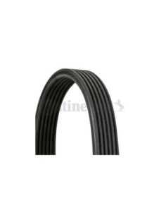 CONTINENTAL AG CINGHIA POLY-V 6DPK1188