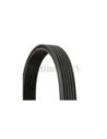 CONTINENTAL AG CINGHIA POLY-V 6DPK1188