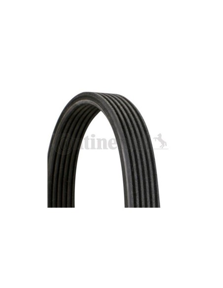 CONTINENTAL AG CINGHIA POLY-V 6DPK1188