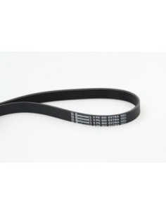 CONTINENTAL AG CINGHIA POLY-V 6PK905EXTRA