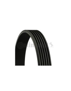 CONTINENTAL AG CINGHIA POLY-V 6PK1145 2