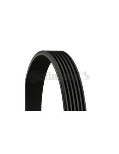 CONTINENTAL AG CINGHIA POLY-V 6PK1448