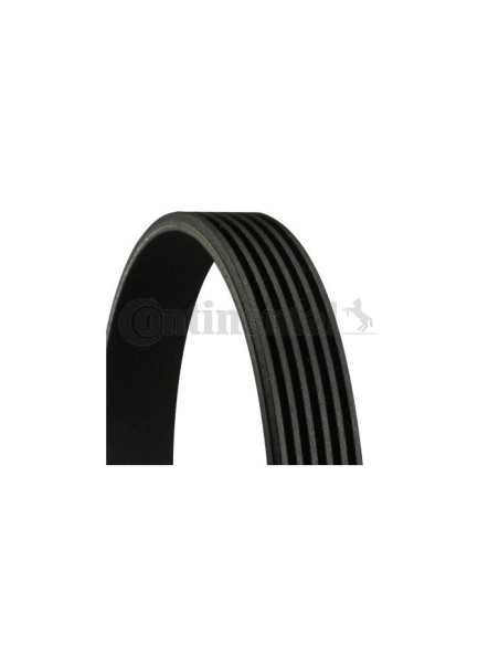 CONTINENTAL AG CINGHIA POLY-V 6PK1600