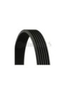CONTINENTAL AG CINGHIA POLY-V 6PK2100