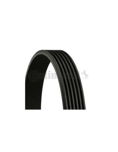 CONTINENTAL AG CINGHIA POLY-V 6PK2345