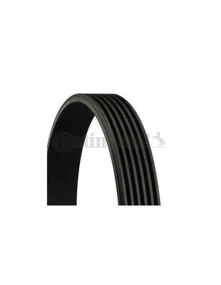 CONTINENTAL AG CINGHIA POLY-V 6PK2345