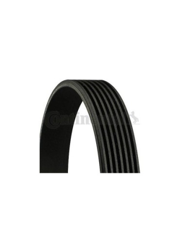 CONTINENTAL AG CINGHIA POLY-V 7PK1795