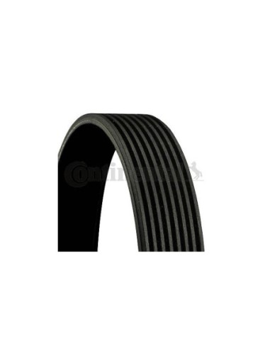 CONTINENTAL AG CINGHIA POLY-V 8PK1688