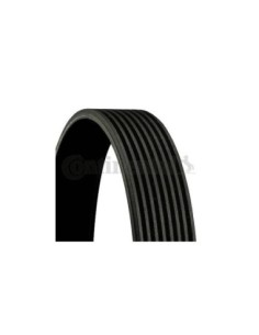 CONTINENTAL AG CINGHIA POLY-V 8PK1688 2