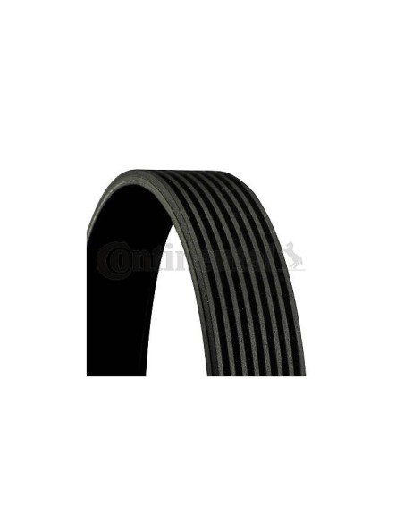 CONTINENTAL AG CINGHIA POLY-V 8PK2035