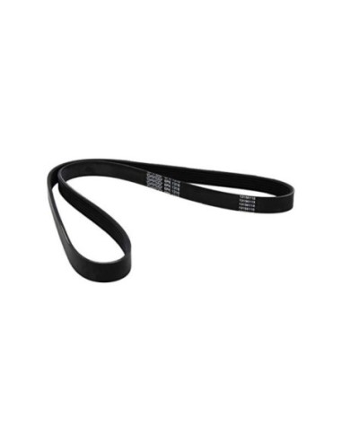 DAYCO CINGHIA POLY-V 6PK1270S