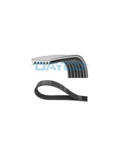 DAYCO CINGHIA POLY-V 6PK1873