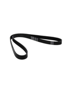 DAYCO CINGHIA POLY-V 7PK935 2