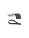 DAYCO CINGHIA POLY-V 7PK1640