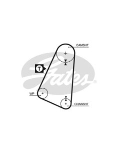 GATES CINGHIA DENTATA 5015 2
