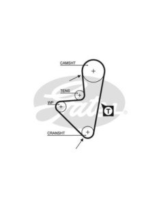 GATES CINGHIA DENTATA 5175XS 2