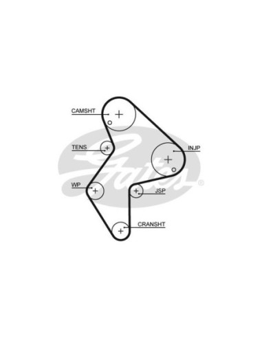 GATES CINGHIA DENTATA 5249XS