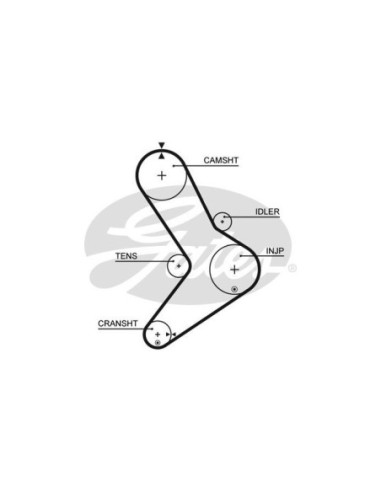 GATES CINGHIA DENTATA 5334XS