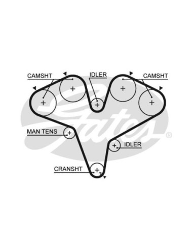 GATES CINGHIA DENTATA 5387XS