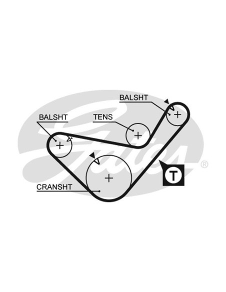 GATES CINGHIA DENTATA 5436XS