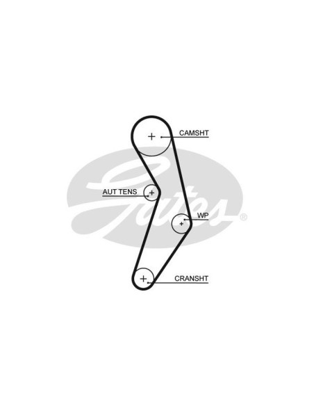 GATES CINGHIA DENTATA 5503XS