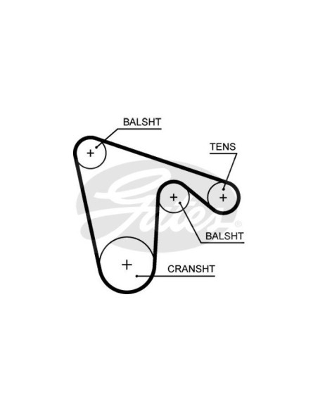 GATES CINGHIA DENTATA 5621XS