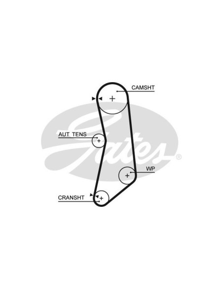 GATES CINGHIA DENTATA 5626XS