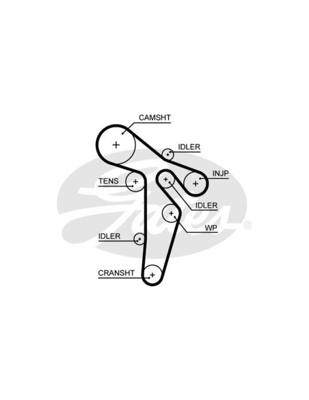 GATES CINGHIA DENTATA 5649XS
