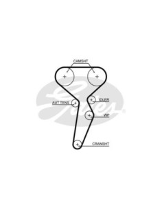 GATES CINGHIA DENTATA 5671XS 2