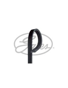 GATES CINGHIA POLY-V 3PK700 2