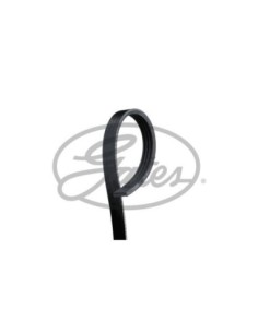 GATES CINGHIA POLY-V 4PK806SF 2