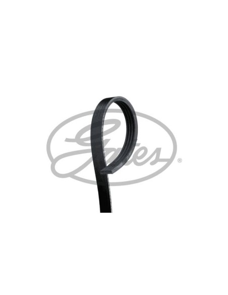 GATES CINGHIA POLY-V 4PK1102SF