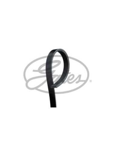GATES CINGHIA POLY-V 4PK1183