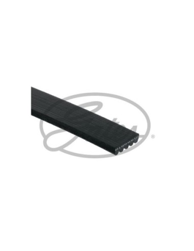 GATES CINGHIA POLY-V 5PK690