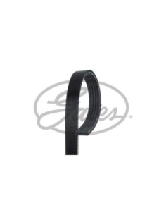 GATES CINGHIA POLY-V 5PK858 2