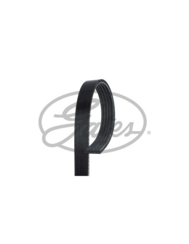 GATES CINGHIA POLY-V 5PK1200