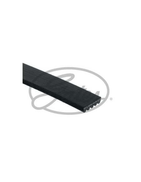 GATES CINGHIA POLY-V 5PK1850