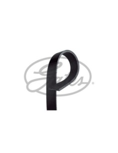 GATES CINGHIA POLY-V 7PK1668 2