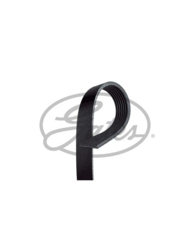 GATES CINGHIA POLY-V 7PK2265
