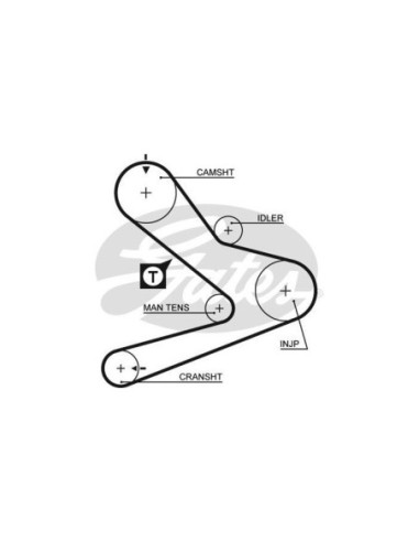 GATES KIT CINGHIE DENTATE K015495XS