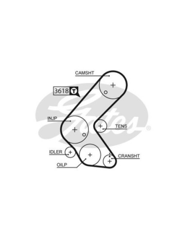 GATES KIT CINGHIE DENTATE K025563XS