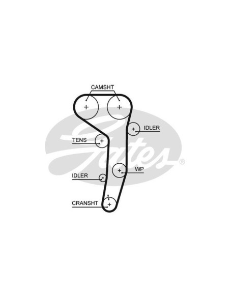 GATES KIT CINGHIE DENTATE K025607XS