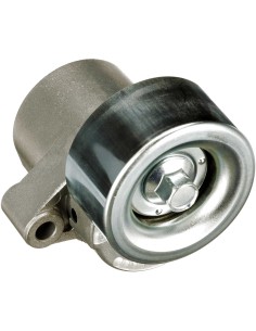 GATES PULEGGIA CINGHIA, ALBERO A GOMITI TVD1089