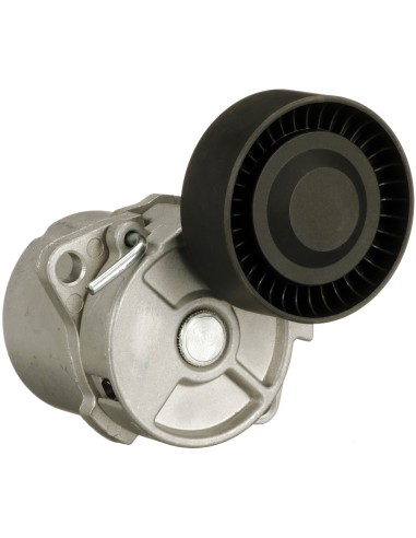 GATES TENDICINGHIA, CINGHIA POLY-V T38223